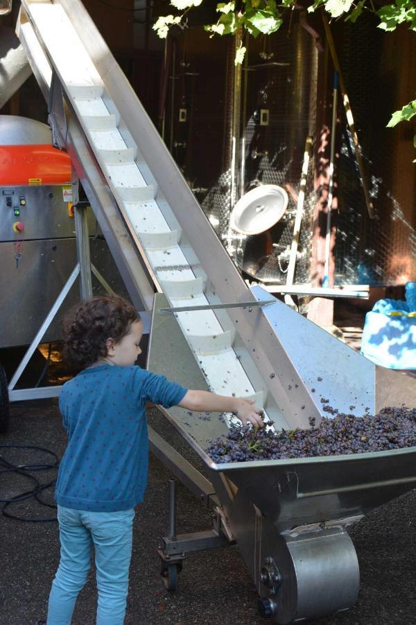 Chez Cecile Bed And Breakfast Chez Le Vigneron 科尔马 外观 照片