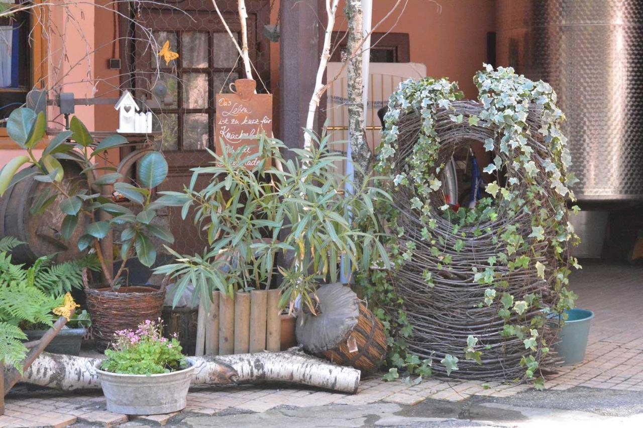 Chez Cecile Bed And Breakfast Chez Le Vigneron 科尔马 外观 照片