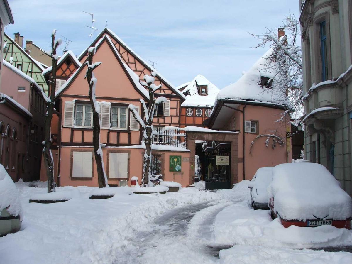 Chez Cecile Bed And Breakfast Chez Le Vigneron 科尔马 外观 照片