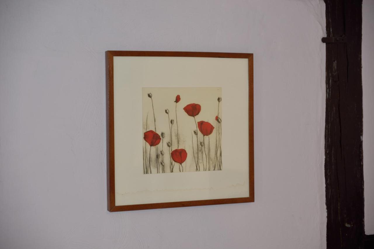 Chez Cecile Bed And Breakfast Chez Le Vigneron 科尔马 外观 照片