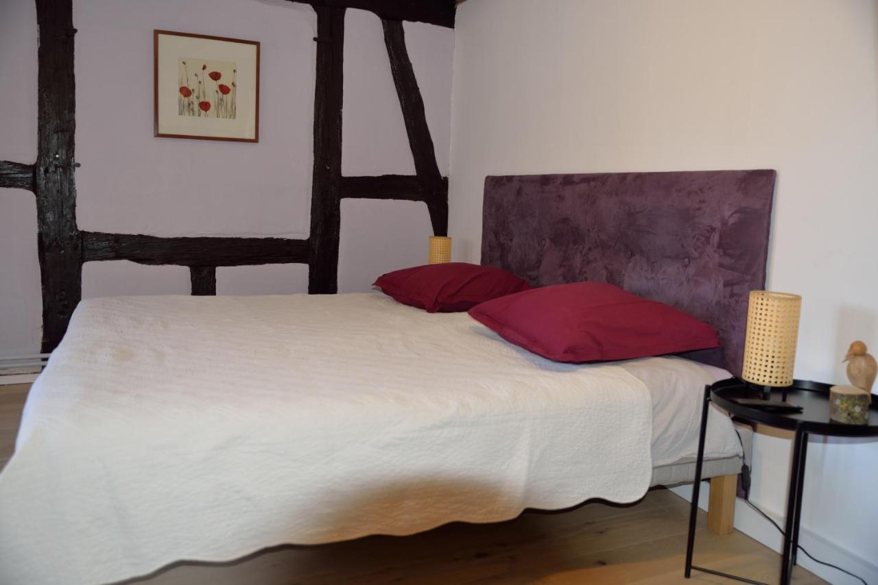 Chez Cecile Bed And Breakfast Chez Le Vigneron 科尔马 外观 照片