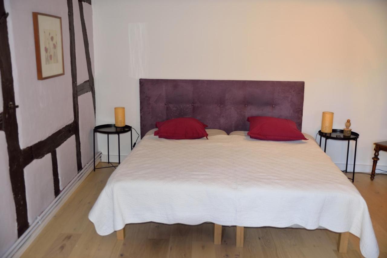 Chez Cecile Bed And Breakfast Chez Le Vigneron 科尔马 外观 照片